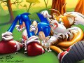 Sonic Tails comish 19.jpg